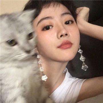 战斗卡牌破解版下载
