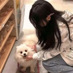 红颜决手游百度版下载